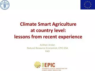 Climate Smart Agriculture at country level: lessons from recent experience