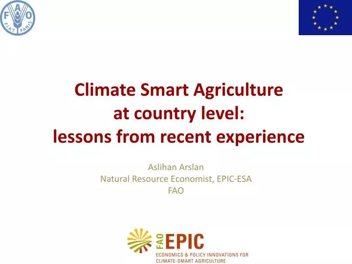 climate smart agriculture at country level lessons from recent experience