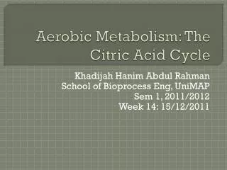 Aerobic Metabolism: The Citric Acid Cycle