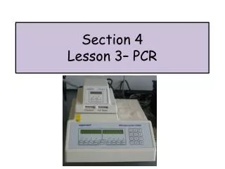 Section 4 Lesson 3 – PCR