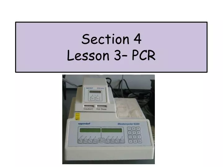 section 4 lesson 3 pcr