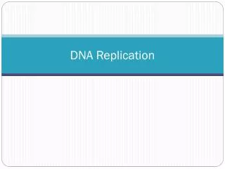 dna replication