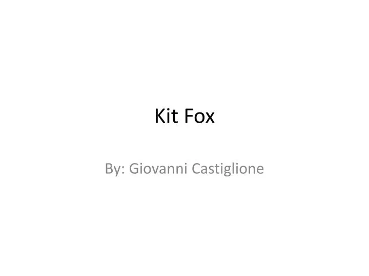 kit fox