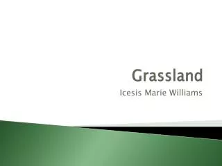 Grassland