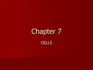 chapter 7