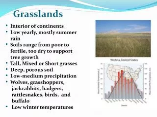 grasslands