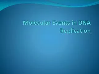 Molecular Events in DNA Replication