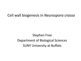 Cell wall biogenesis in Neurospora crassa