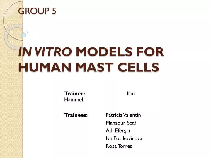 group 5 in vitro models for human mast cells