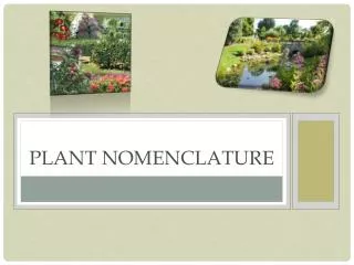 Plant Nomenclature