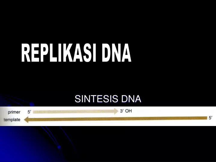 sintesis dna