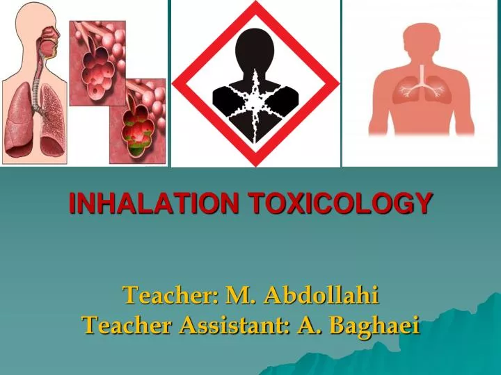 inhalation toxicology