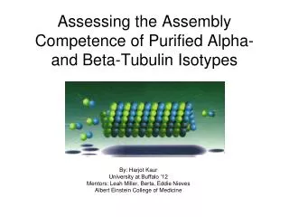 Assessing the Assembly Competence of Purified Alpha- and Beta- Tubulin Isotypes