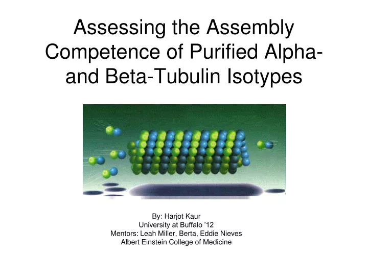 assessing the assembly competence of purified alpha and beta tubulin isotypes