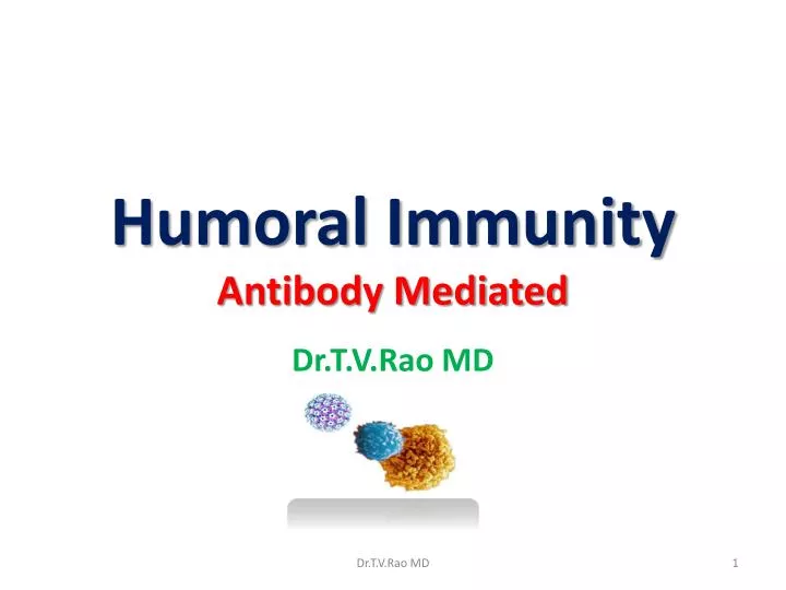 humoral immunity antibody mediated