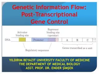 Genetic Information Flow: Post-Transcriptional Gene C ontrol