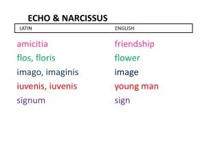 Echo &amp; narcissus
