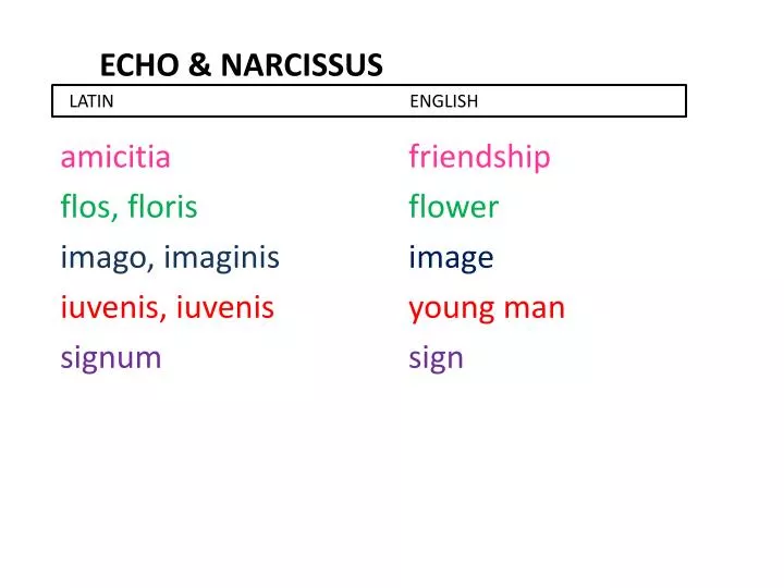 echo narcissus