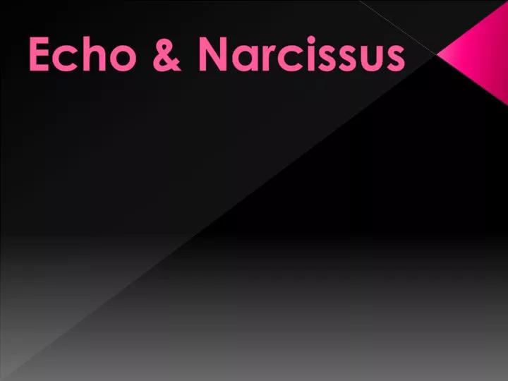 echo narcissus