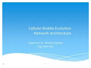 Cellular Mobile Evolution Network Architecture
