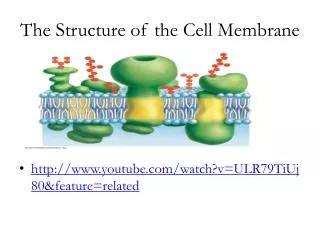 The Structure of the Cell Membrane
