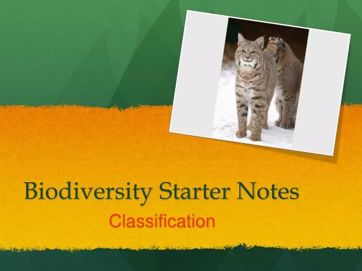 biodiversity starter notes