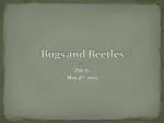 Bugs and Beetles - slide 1