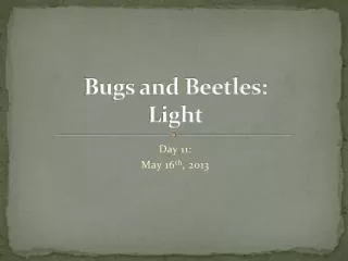 Bugs and Beetles: Light