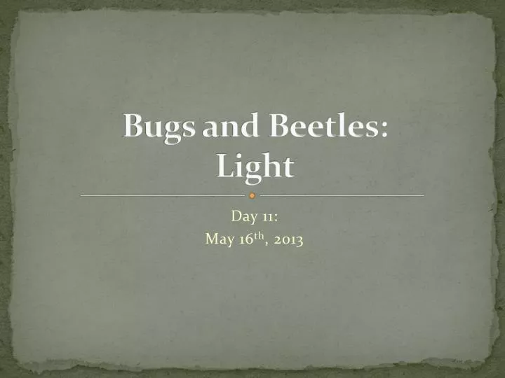 bugs and beetles light