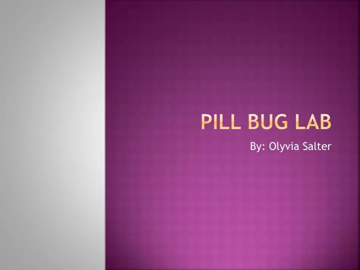 pill bug lab