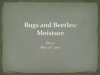Bugs and Beetles: Moisture