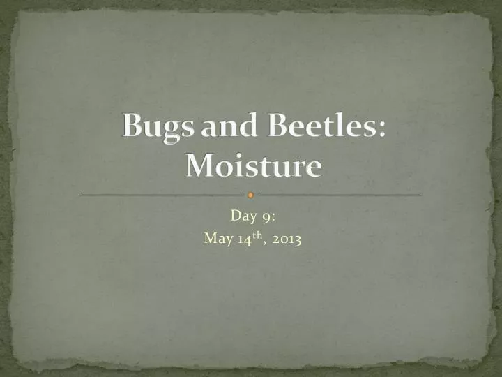 bugs and beetles moisture