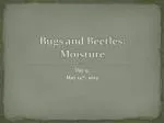 Bugs and Beetles: Moisture - slide 1