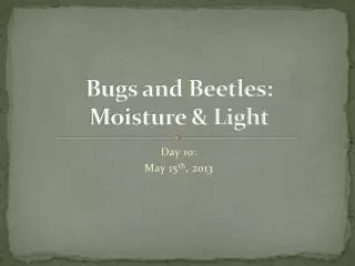 Bugs and Beetles: Moisture &amp; Light