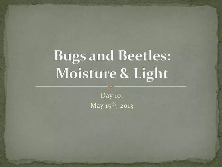 bugs and beetles moisture light