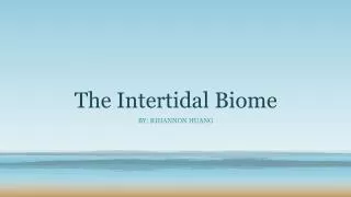 The Intertidal Biome