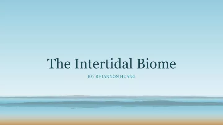 the intertidal biome