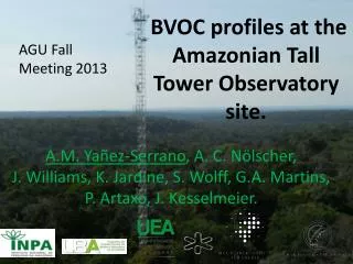 BVOC profiles at the Amazonian Tall Tower Observatory site.