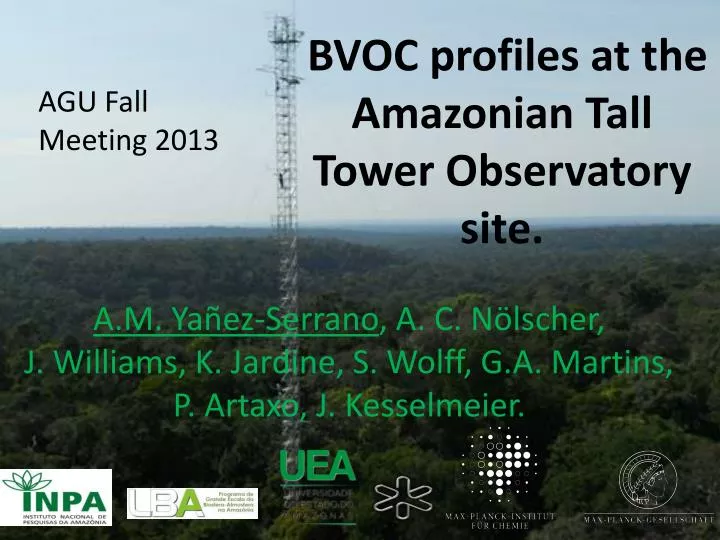 bvoc profiles at the amazonian tall tower observatory site