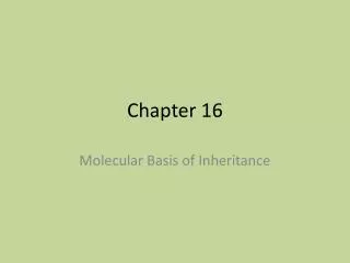 chapter 16