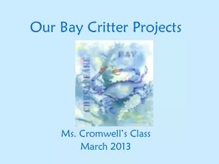 Our Bay Critter Projects