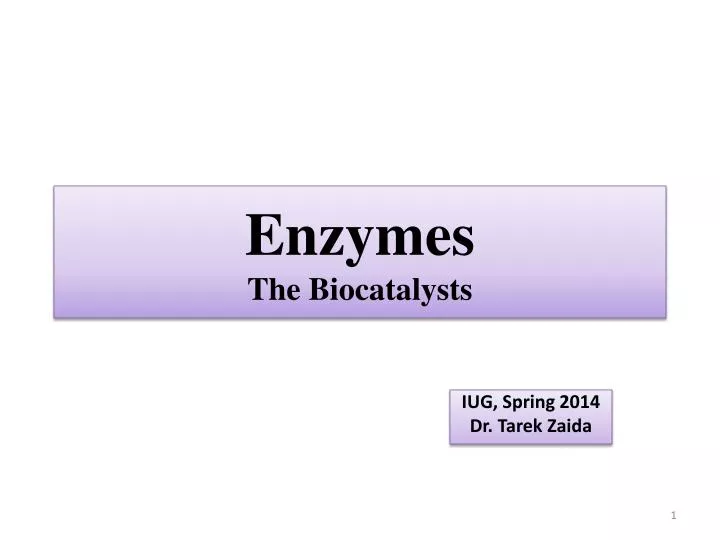 enzymes the biocatalysts