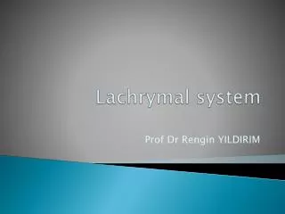 Lachrymal system