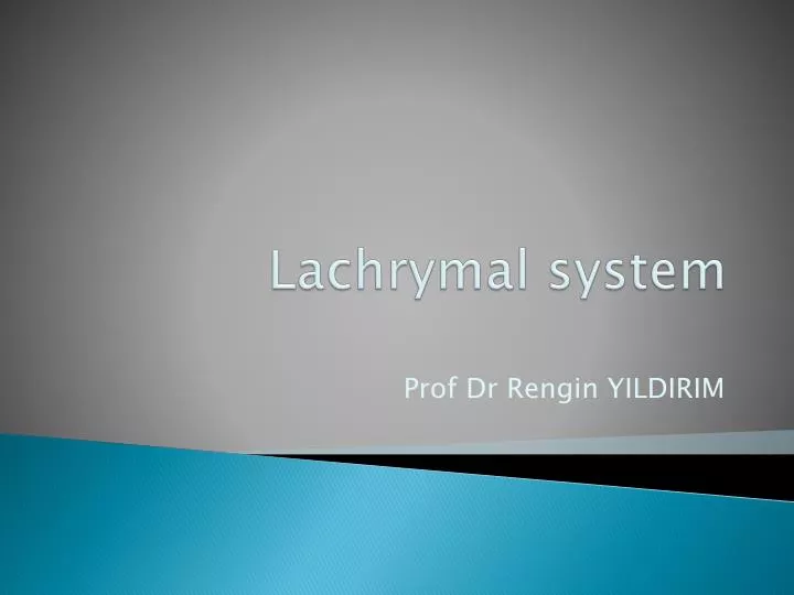 lachrymal system
