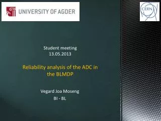 Student meeting 13.05.2013 Reliability analysis of the ADC in the BLMDP