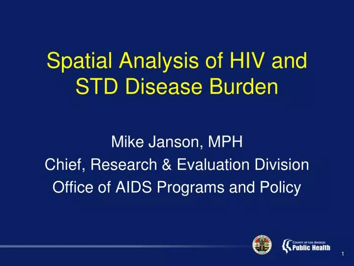 spatial analysis of hiv and std disease burden