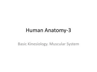 Human Anatomy-3