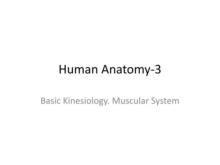 human anatomy 3