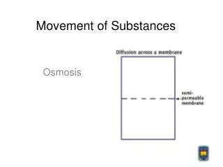 Movement of Substances