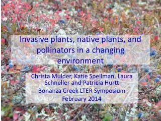 Invasive plants, native plants, and pollinators in a changing environment